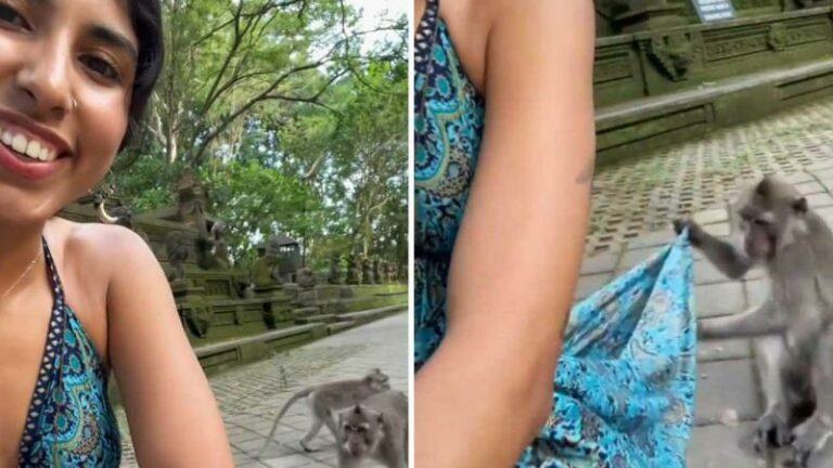 Vrouw laat aapje dichtbij komen, maar dan doet de deugniet DIT met haar kleedje… (video)