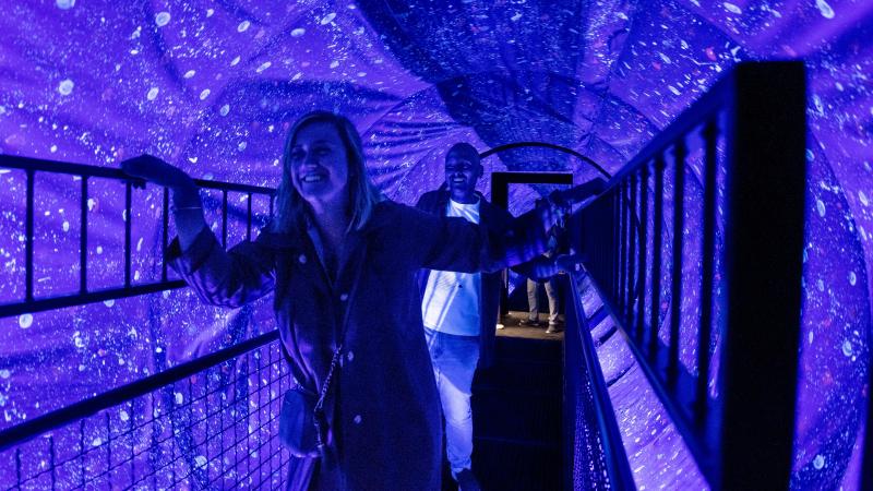 Brussel pakt uit met grootste Museum of Illusions van Europa