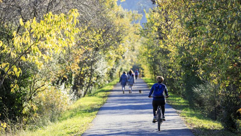 Dwars door het Zoniënwoud of een tocht vol frieten: 9 fietstochten om Brussel mee te ontdekken