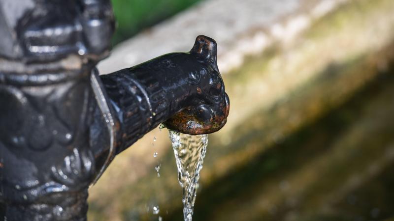 Vlaamse waterbedrijven garanderen drinkwaterbevoorrading, ondanks droge zomer
