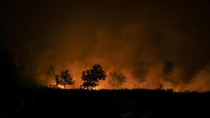 IN BEELD. Duizenden mensen geëvacueerd van campings wegens bosbranden in omgeving Bordeaux