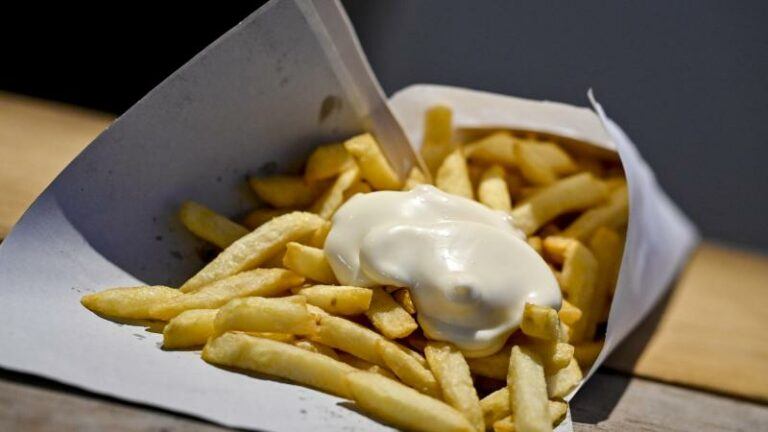 BELGIË. Bloemen verwelken, schepen vergaan, maar Belgische frieten blijven altijd bestaan