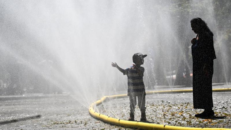 HITTE. Ook code rood in Limburg, elders in Europa richten bosbranden grote schade aan