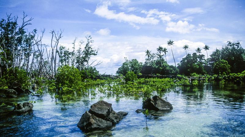 BIZAR. Na meer dan twee jaar krijgt dit eenzame eiland voor het eerst te maken met COVID-19