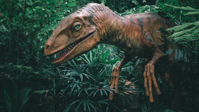WOW. Klant ontdekt per ongeluk 100 miljoen jaar oude voetafdruk van dinosaurus in Chinees restaurant