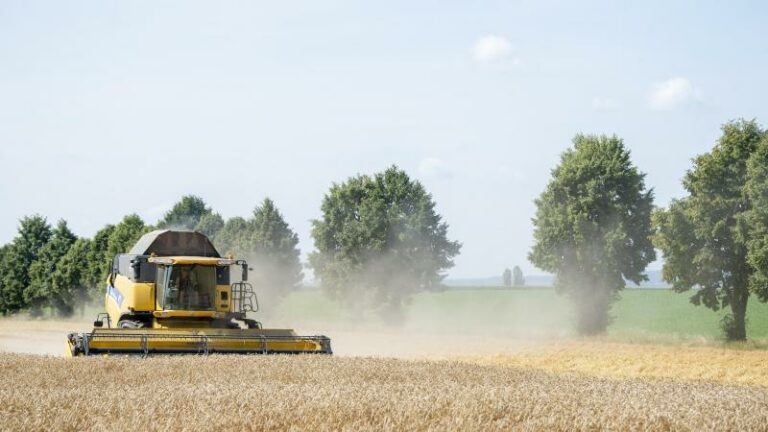 Vandaag zijn alle natuurlijke hulpbronnen op: Earth Overshoot Day valt opnieuw vroeger dan vorig jaar