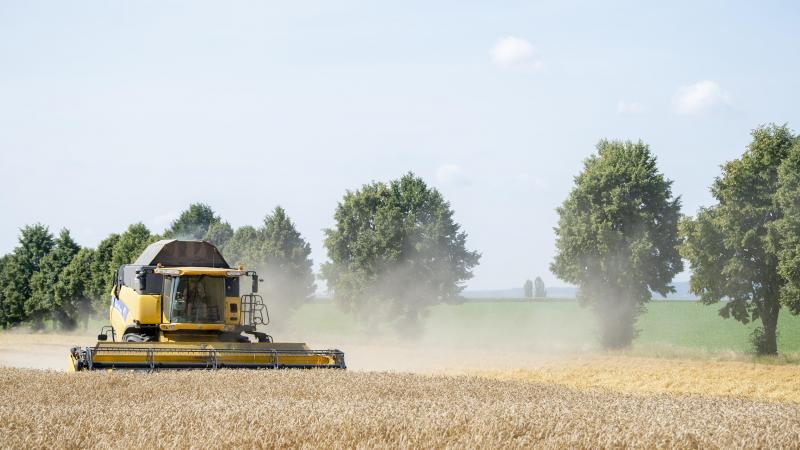 Vandaag zijn alle natuurlijke hulpbronnen op: Earth Overshoot Day valt opnieuw vroeger dan vorig jaar