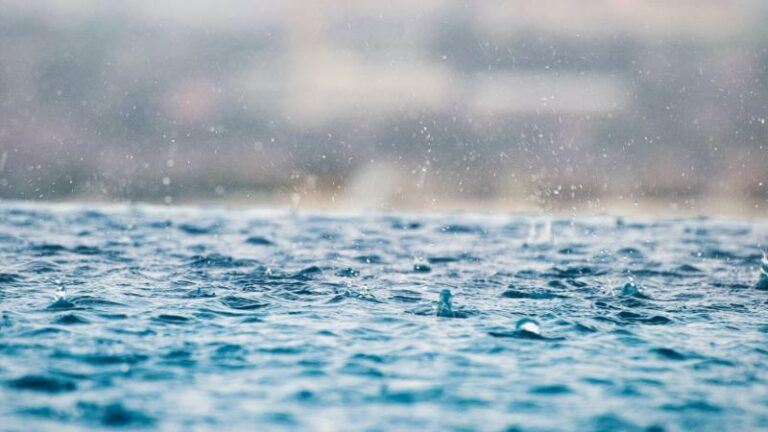 Onderzoek waarschuwt: «Er zit te veel PFAS in ons regenwater»