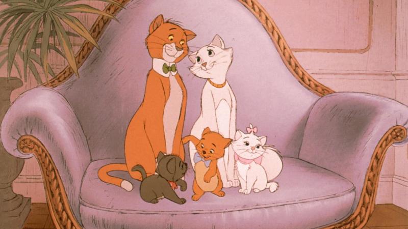 International Cat Day. De vijf allerbeste films voor Cat lovers
