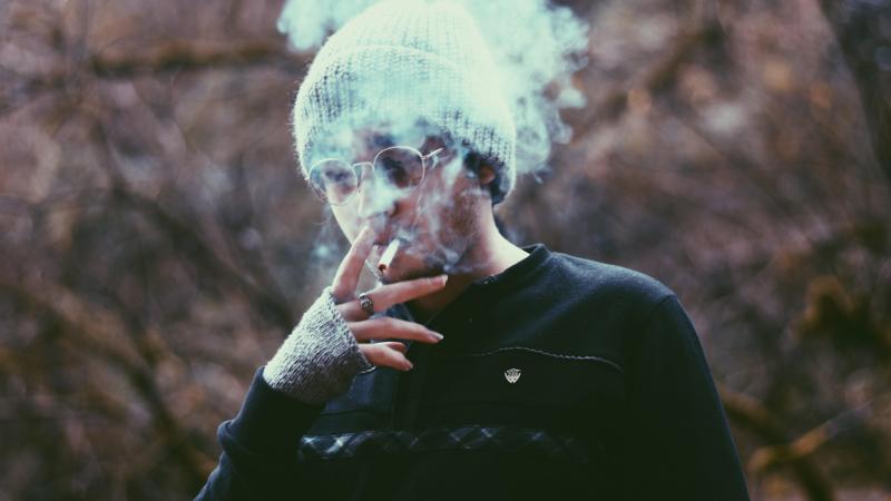 Vanaf morgen mag je niet meer roken in Vlaamse bossen en natuurgebieden