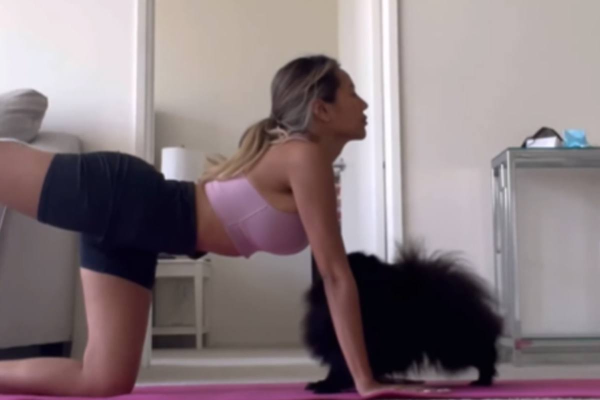 Dame doet enkele yoga-oefeningen. En haar hondje? Die doet flink mee! (video)