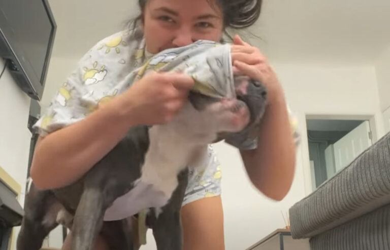 HILARISCH: Dame wil aan yoga doen, maar haar hond heeft duidelijk andere plannen! (video)