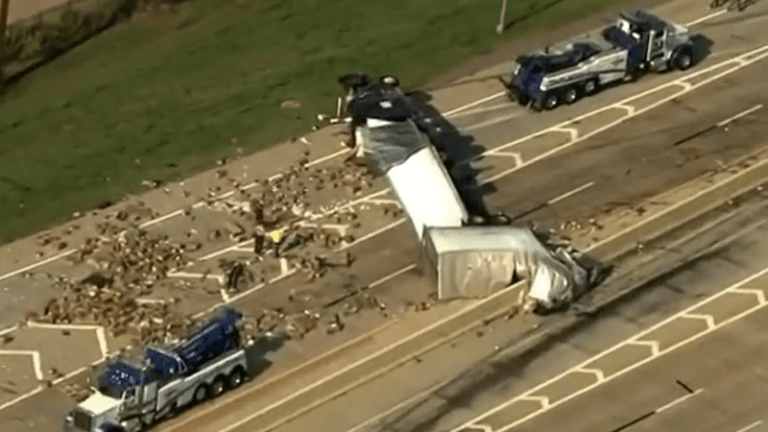 OEPS. Vrachtwagen crasht en stort glijmiddel en dildo’s op de autosnelweg