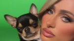 Paris Hilton belooft «grote beloning» aan wie haar chihuahua terugvindt: «Mijn hart is gebroken»