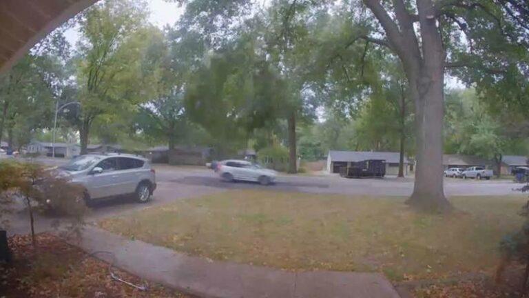 Gigantische tak breekt af van boom terwijl auto eronder rijdt: «Hoe konden ze dat nu niet zien?!» (video)