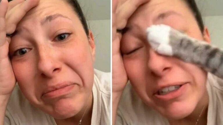 Droevige vrouw kan troost gebruiken, maar haar poes gooit nog wat olie op het vuur: «Katten zijn zo’n smeerlappen!» (video)