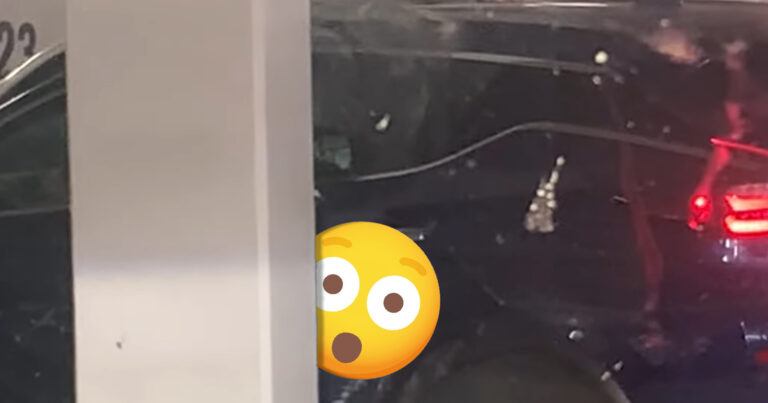 Ooggetuigen kunnen DESASTREUZE parkeerpoging van dame amper geloven: “Ooooh nee!” (video)