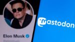 Na overname Musk: is Mastodon het alternatief voor Twitter?