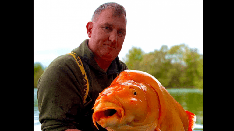 WTF. Visser vangt GIGANTISCHE ‘goudvis’ in Frankrijk