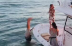 Man gaat in volle paniek wanneer ring in oceaan valt tijdens huwelijksaanzoek (video)