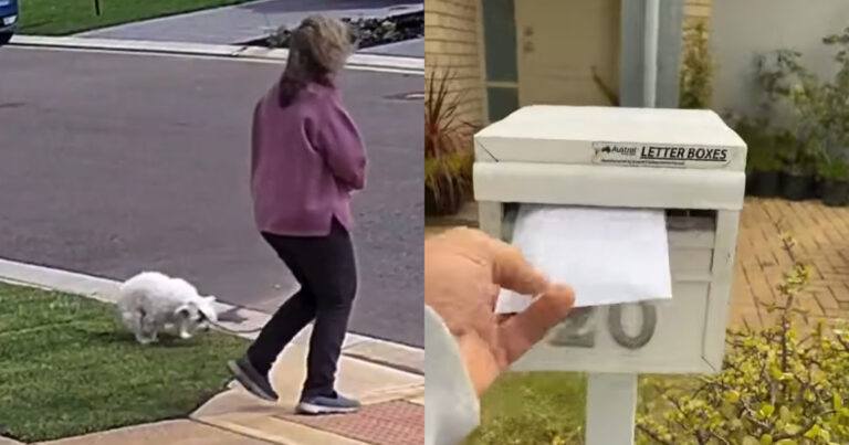 Buurvrouw laat hondendrol liggen in voortuin van man. Zijn wraak? GENIAAL! (video)