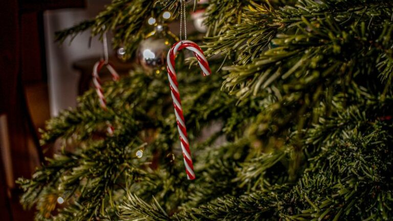Britse dokter waarschuwt: «Steek geen kerstdecoratie in je anus»