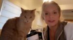 Kat neemt hilarische pose aan tijdens selfie met baasje: «Haha, zo grappig!» (video)