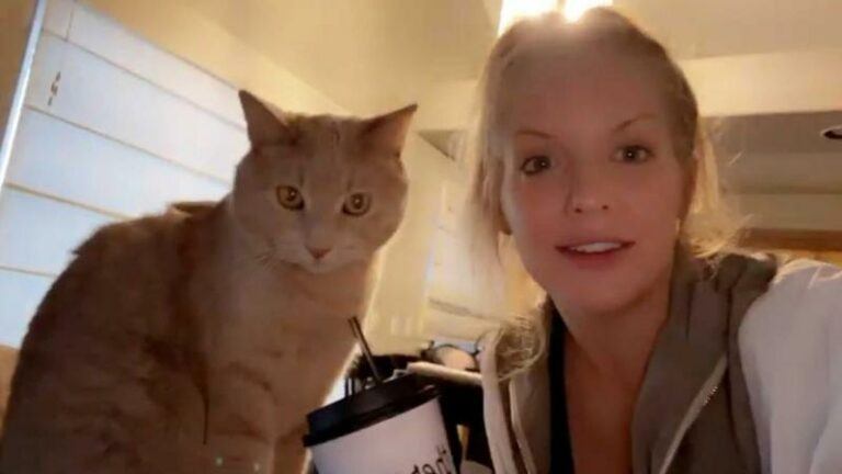 Kat neemt hilarische pose aan tijdens selfie met baasje: «Haha, zo grappig!» (video)