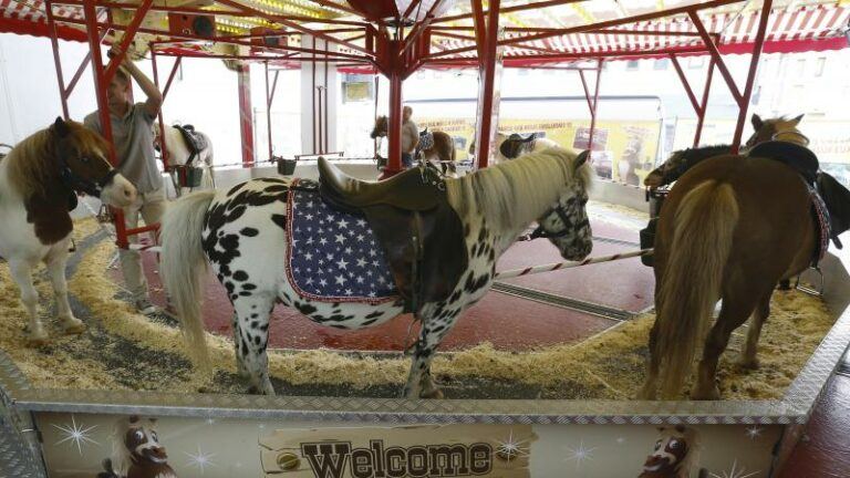 Rookvrije perrons, geen pony’s op de kermis, duurder water en hogere lonen: dit verandert er allemaal op 1 januari