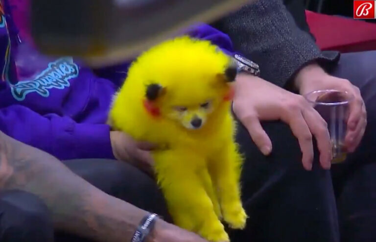 Kerel die hondje transformeert in een Pikachu krijgt bakken kritiek: “Een hond is geen voorwerp!” (video)
