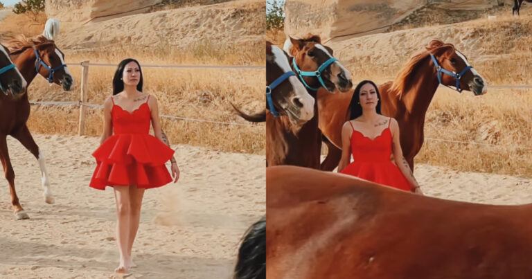 Model wandelt tussen galopperende paarden. Dat was een SLECHT plan! (fails)