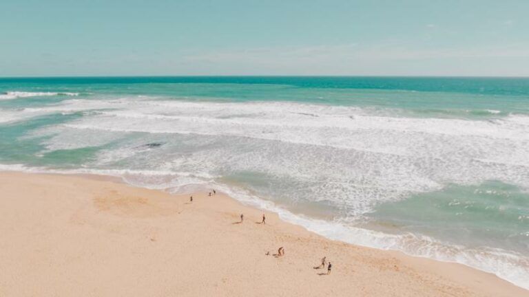 WTF. Bekend strand in Sydney gesloten nadat DIT gespot wordt in oceaan