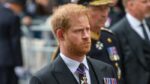 Prins Harry in autobiografie: «William viel mij fysiek aan»