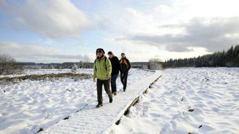 Winterse neerslag op komst: tot 20 centimeter sneeuw in de Ardennen