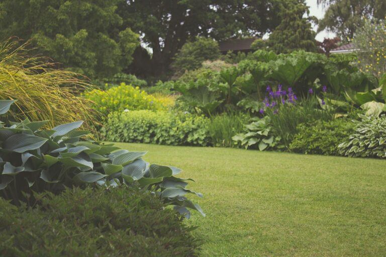 Een onderhoudsvrije tuin met ‘wow-factor’: zo doe je dat!