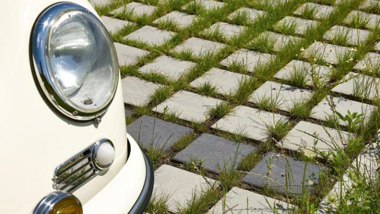 Dit is de sponstuin, de tuin die onthardt tegen regen én droogte