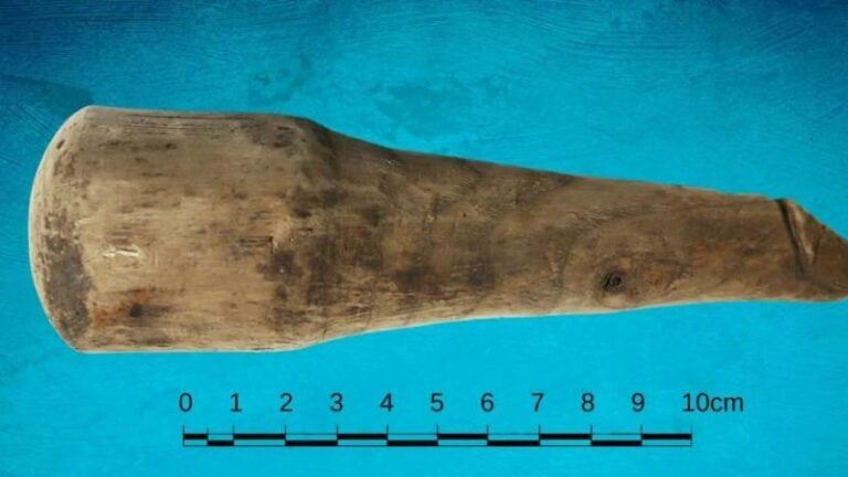Archeologen vinden allereerste Romeinse dildo van 2.000 jaar oud