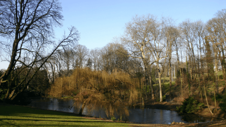 5 groene oases in onze hoofdstad