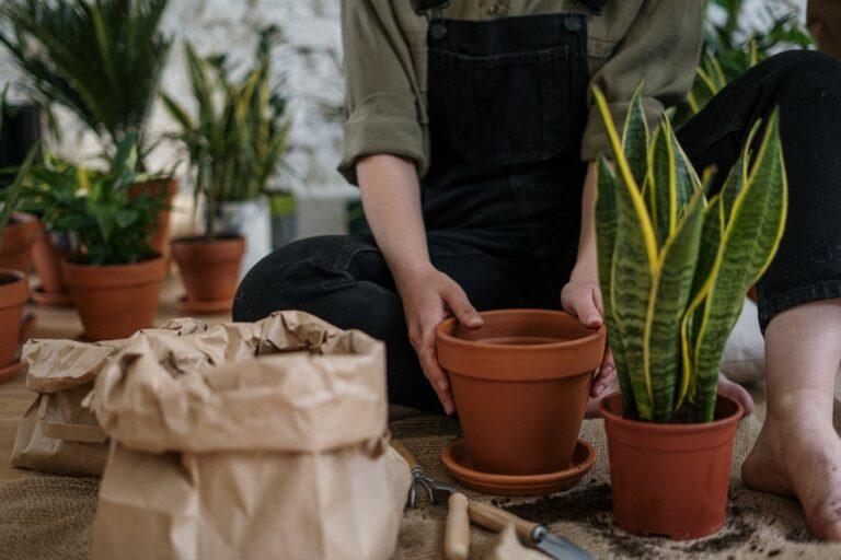 Dit zijn de tips voor een hippe tuin