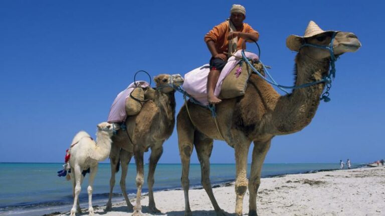 CHECK-IN. Djerba, de perfecte familietrip