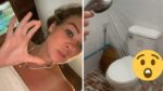 Toeristes schreeuwen het uit wanneer ze enorme spin in badkamer aantreffen: «Mijn grootste nachtmerrie!» (video)