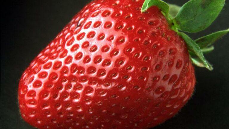 Aardbei onder de microscoop heeft onaangename verrassingen (video)