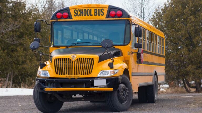 WTF. Politie achtervolgt naakte bestuurder van gestolen schoolbus met dood hert erin