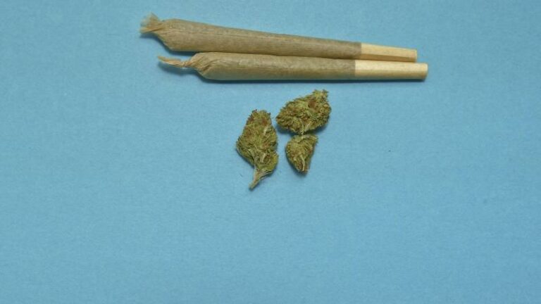 Duitse ministers stellen gedeeltelijke legalisering cannabis voor