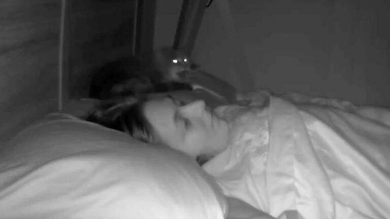 Kat heeft nachtmerrie en miauwt baasje KEIHARD wakker: «Niet goed om zo te schrikken!» (video)