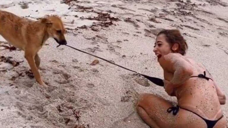 Hond probeert bovenstukje van vrouw uit te trekken: «Help me!» (video)