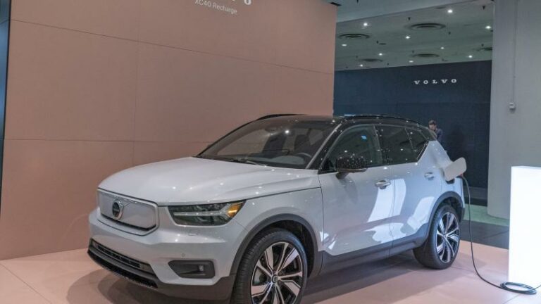 Dit zijn de populairste automodellen in Vlaanderen en Wallonië
