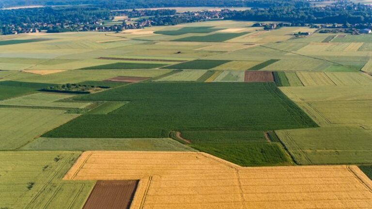 WOW. ZOVEEL procent van Belgische grond is landbouwgrond
