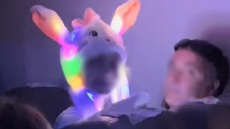 Kind houdt vliegtuig wakker met lichtgevende hoed: «Het lijkt net een rave» (video)