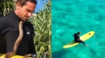 Man uit Australië krijgt boete nadat hij gaat surfen met python (video)